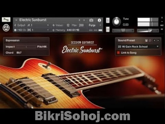 Electric Guitar Library